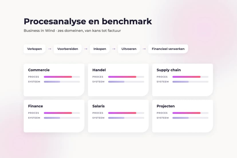 Procesanalyse en benchmark bij Business in Wind